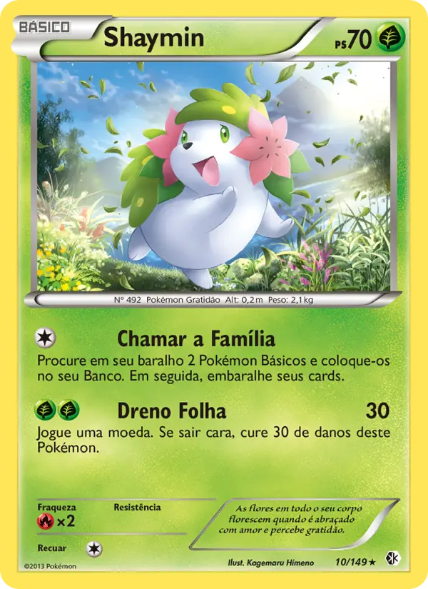 Carta Shaymin, nº 10 de Fronteiras Cruzadas